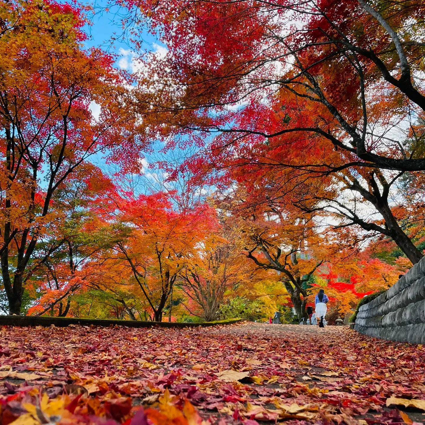 永源寺　写真ver