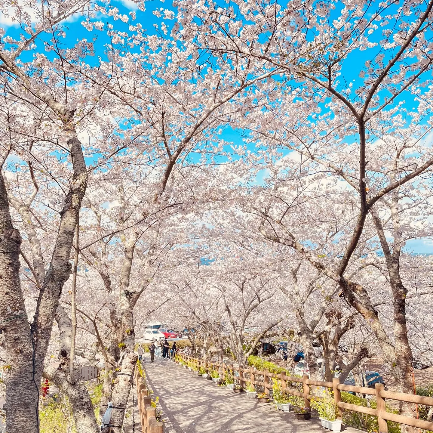【ご報告と感謝の気持ち】