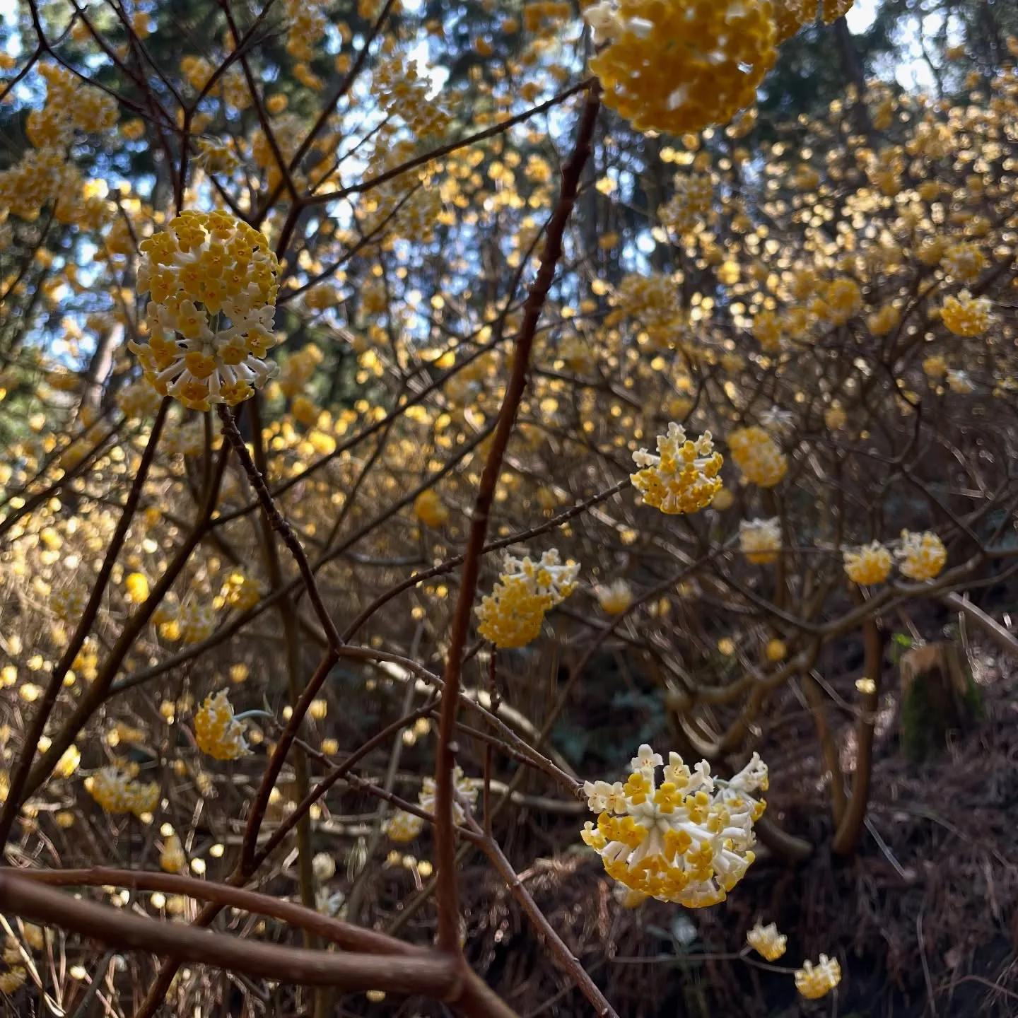 【ご報告と感謝の気持ち】