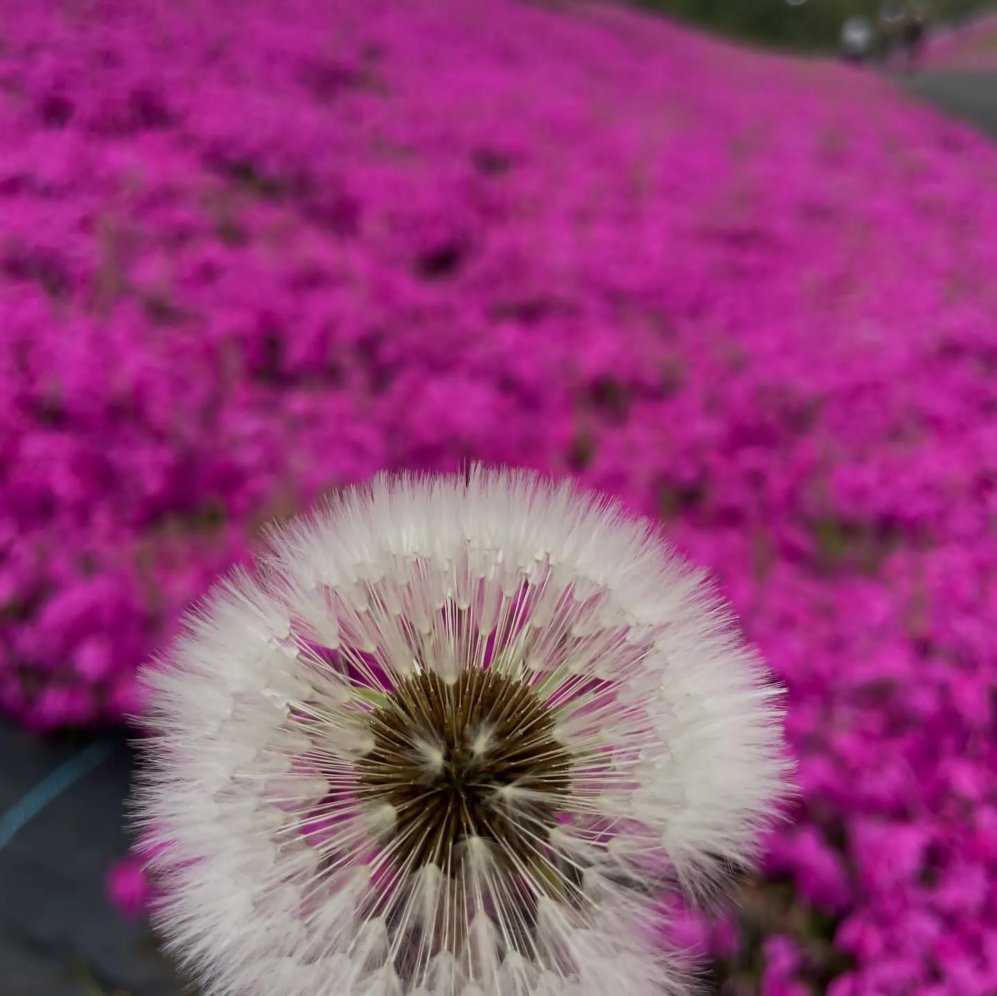 【ご報告と感謝の気持ち】