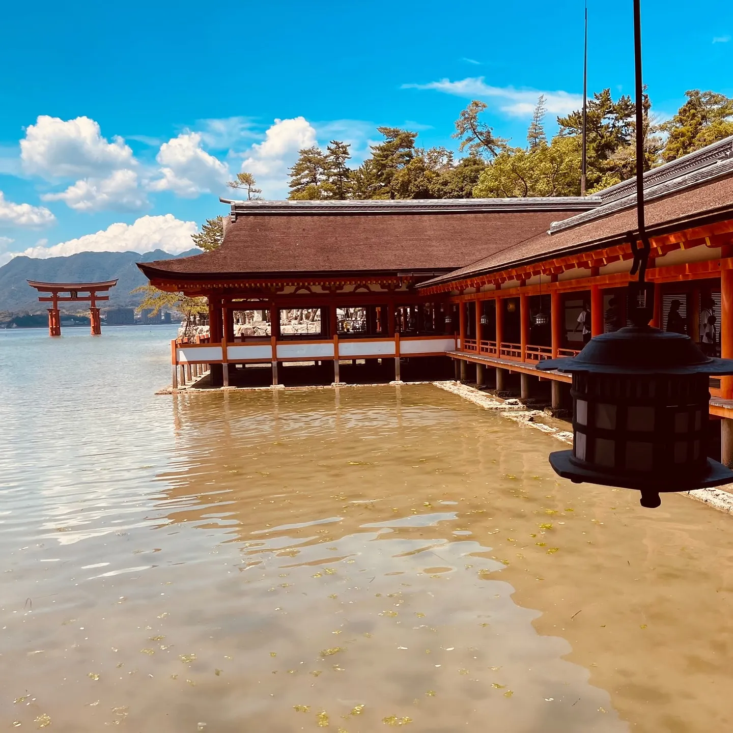 【ご報告と感謝の気持ち】