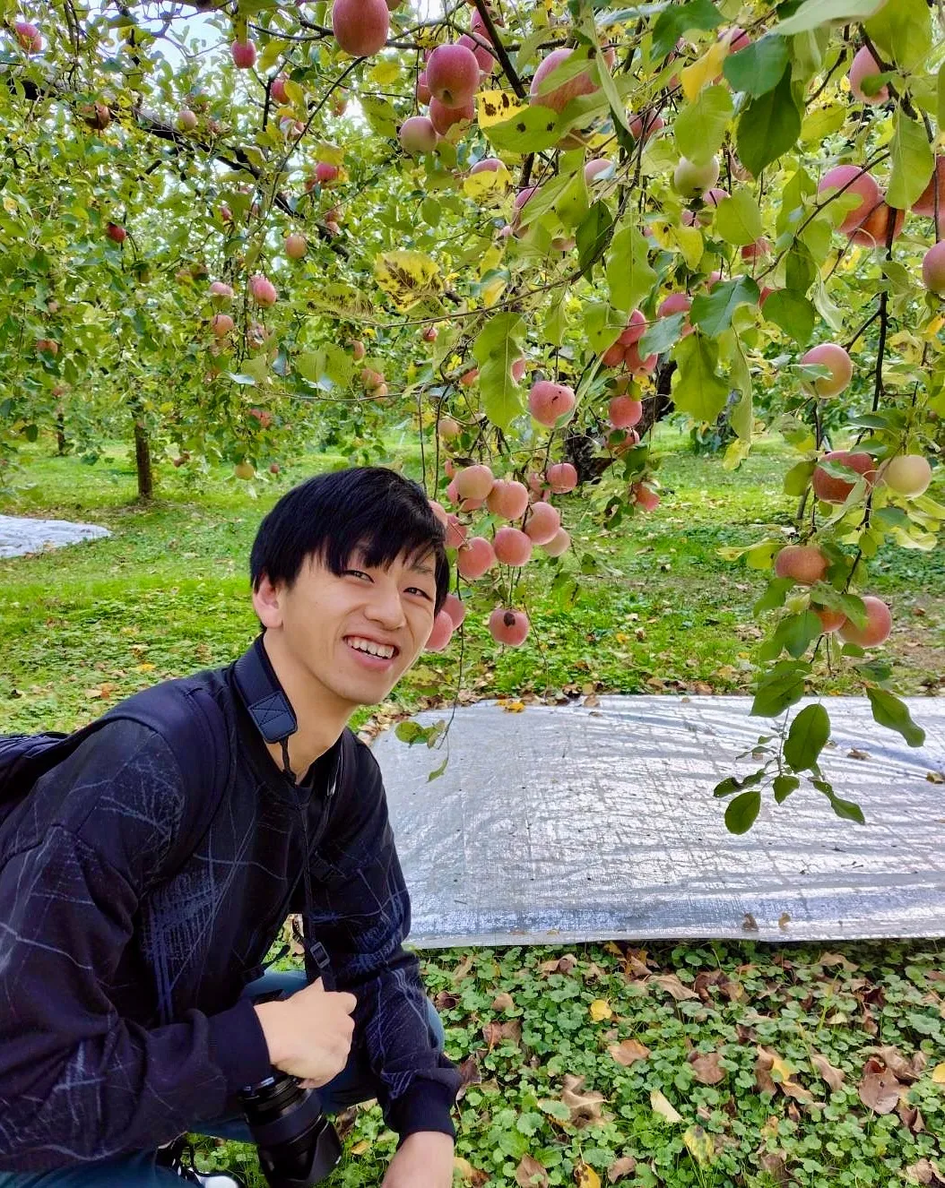 りんご園は、散歩するだけでも凄い楽しい場所です。