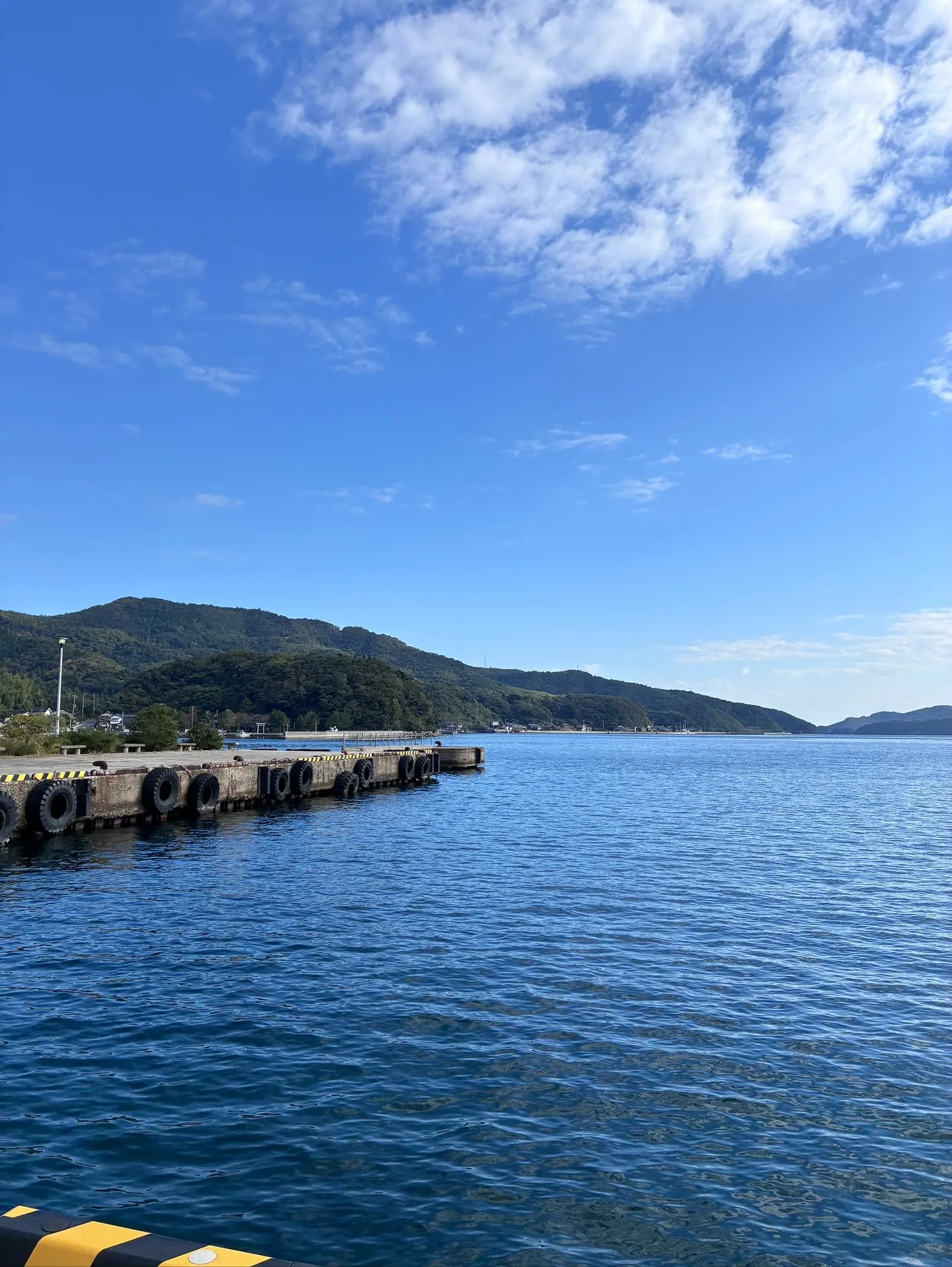 11月23日から特別お手伝いさんが宮城県から1週間来てくれま...
