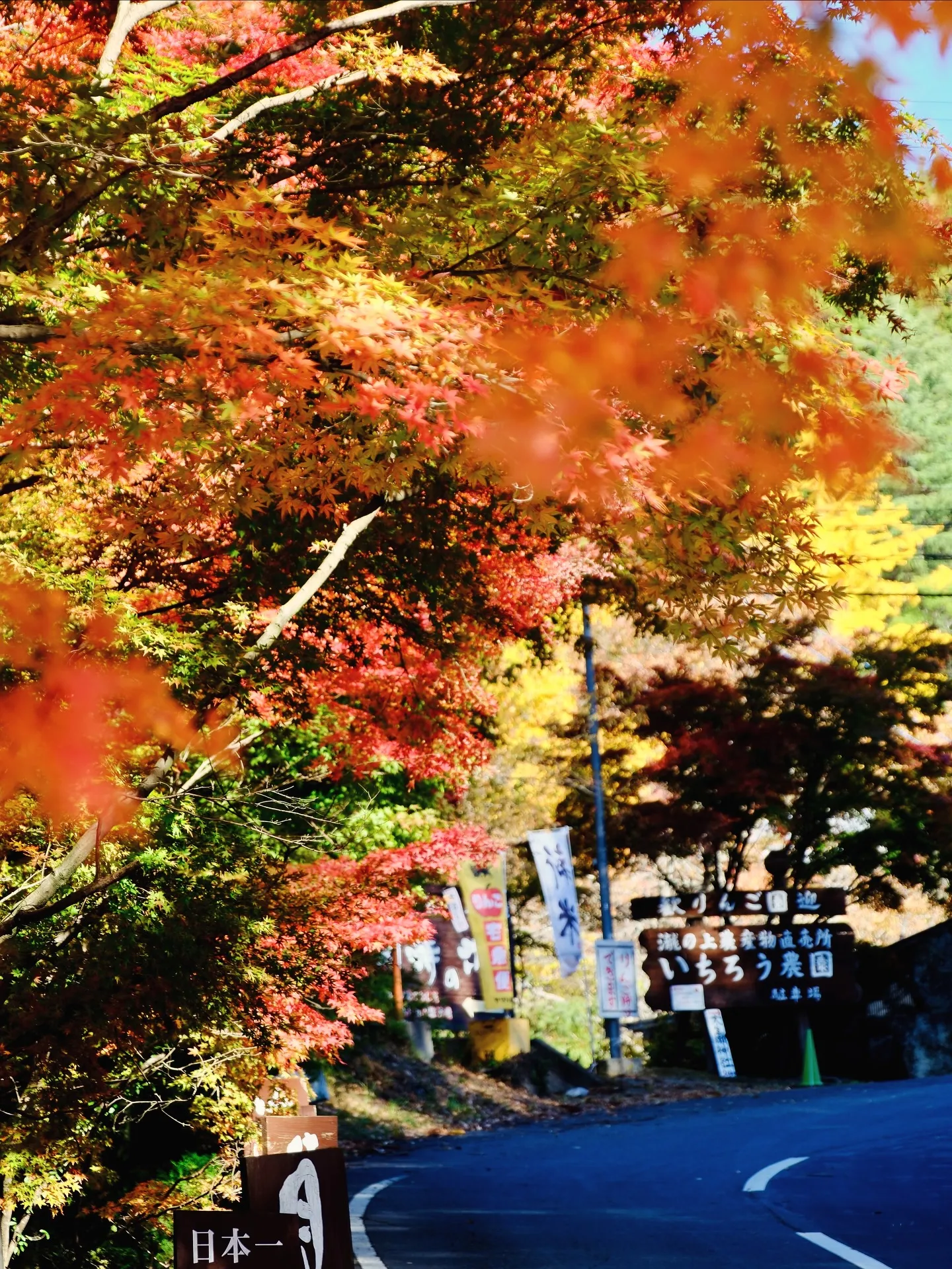 茨城県　大子町の紅葉　Fujiショット