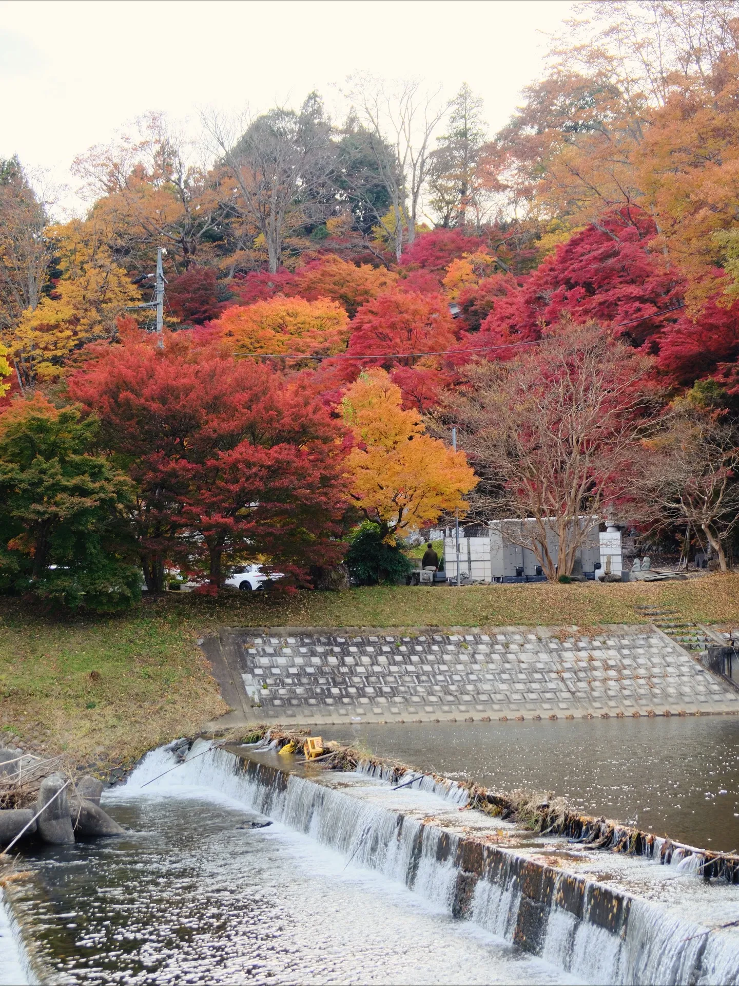 茨城県　大子町の紅葉　Fujiショット