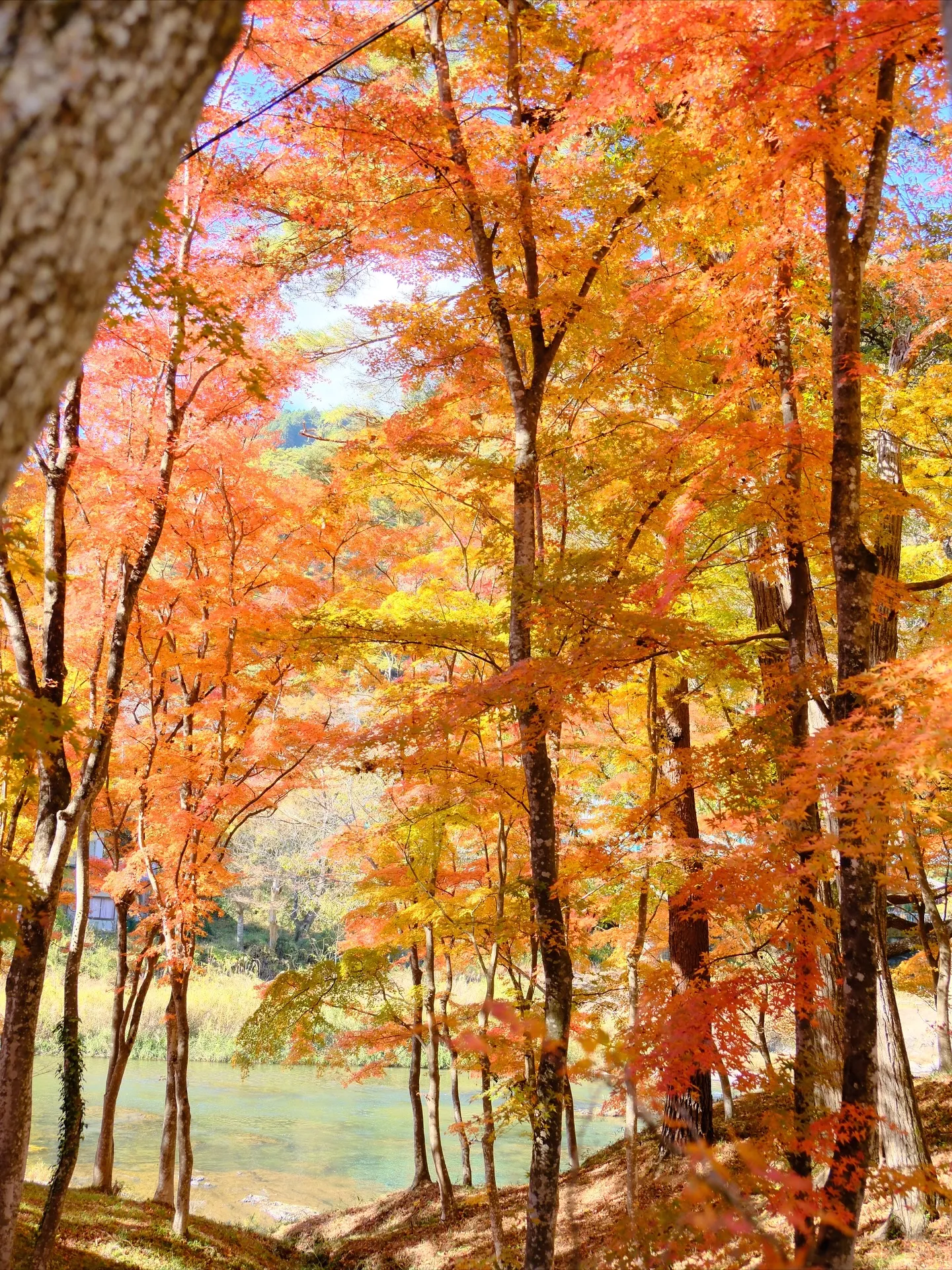 2枚目を見れば、ここがどこかわかりますか？
