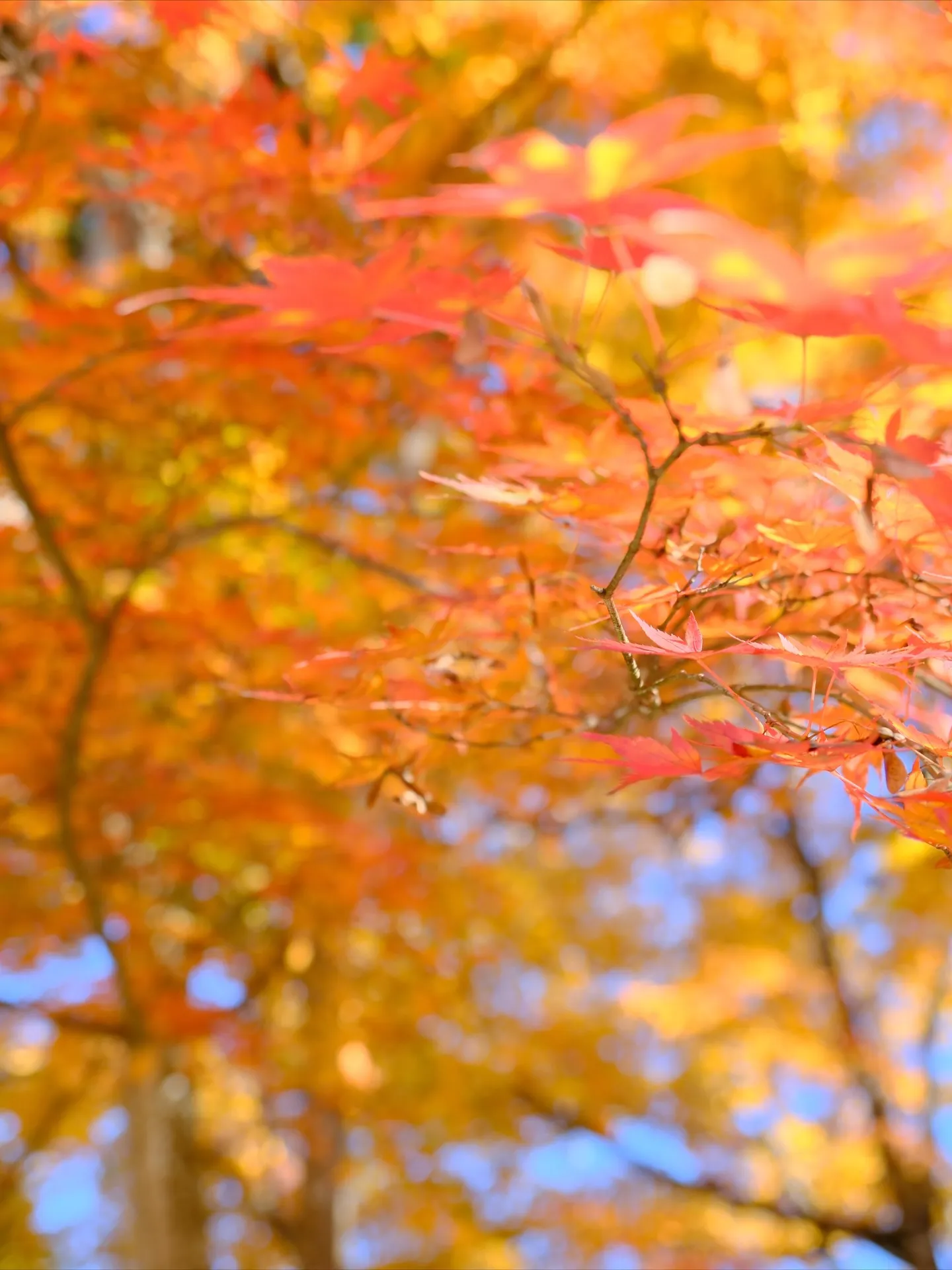 2枚目を見れば、ここがどこかわかりますか？