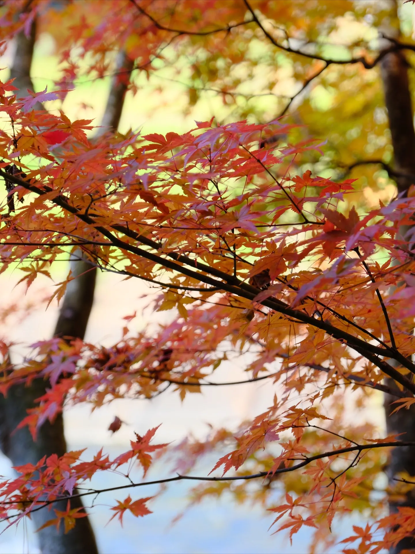 2枚目を見れば、ここがどこかわかりますか？