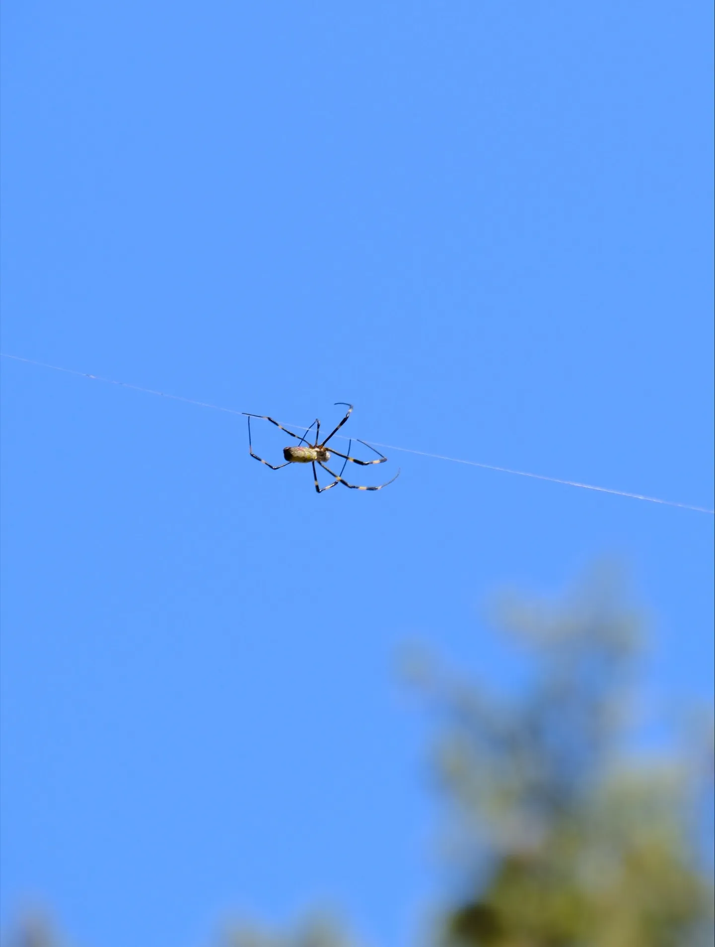 2枚目を見れば、ここがどこかわかりますか？