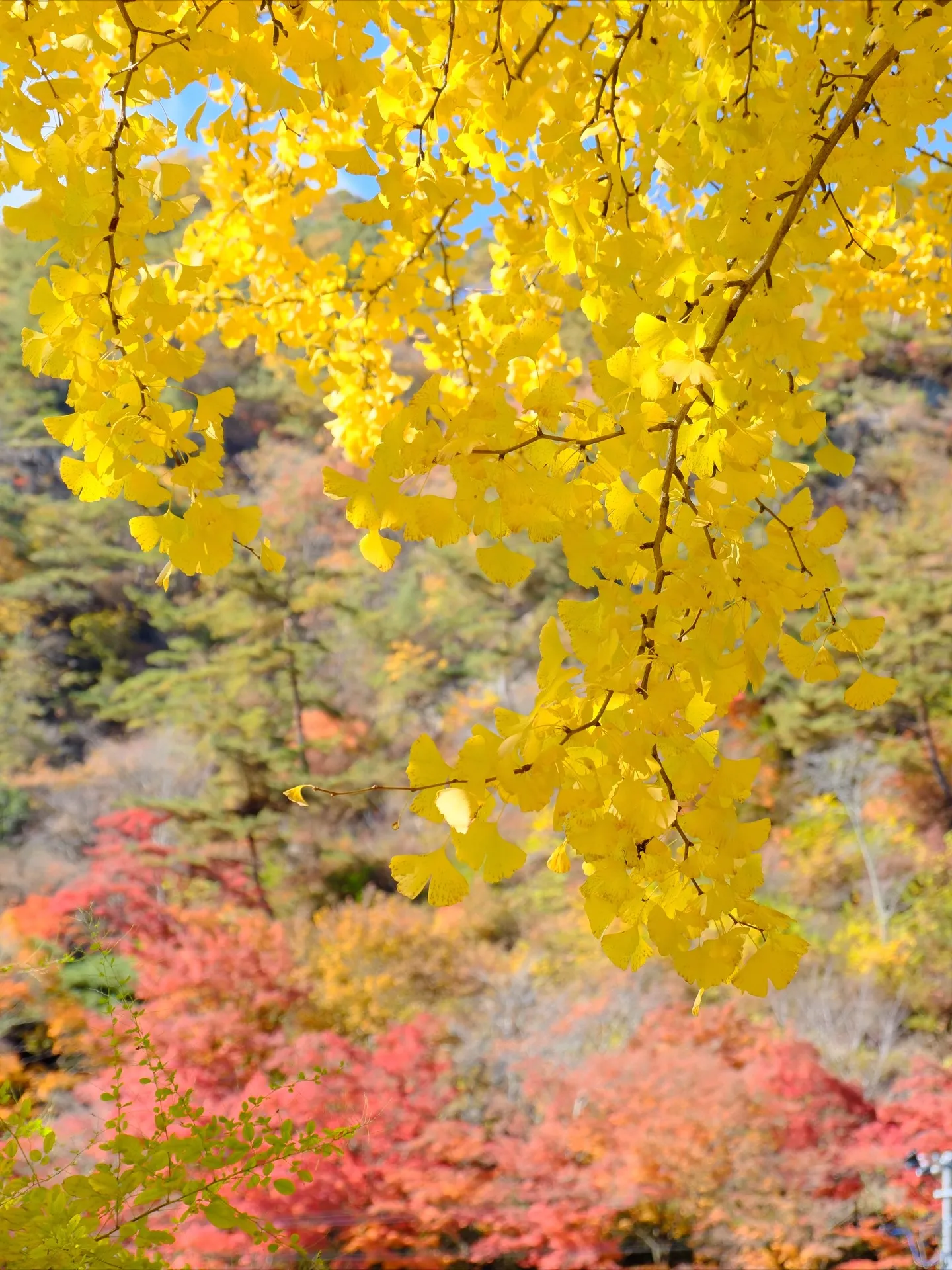 2枚目を見れば、ここがどこかわかりますか？