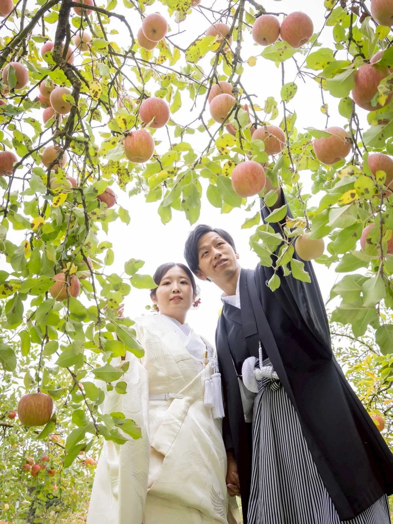 【大子町のりんご園でウェディングフォト】