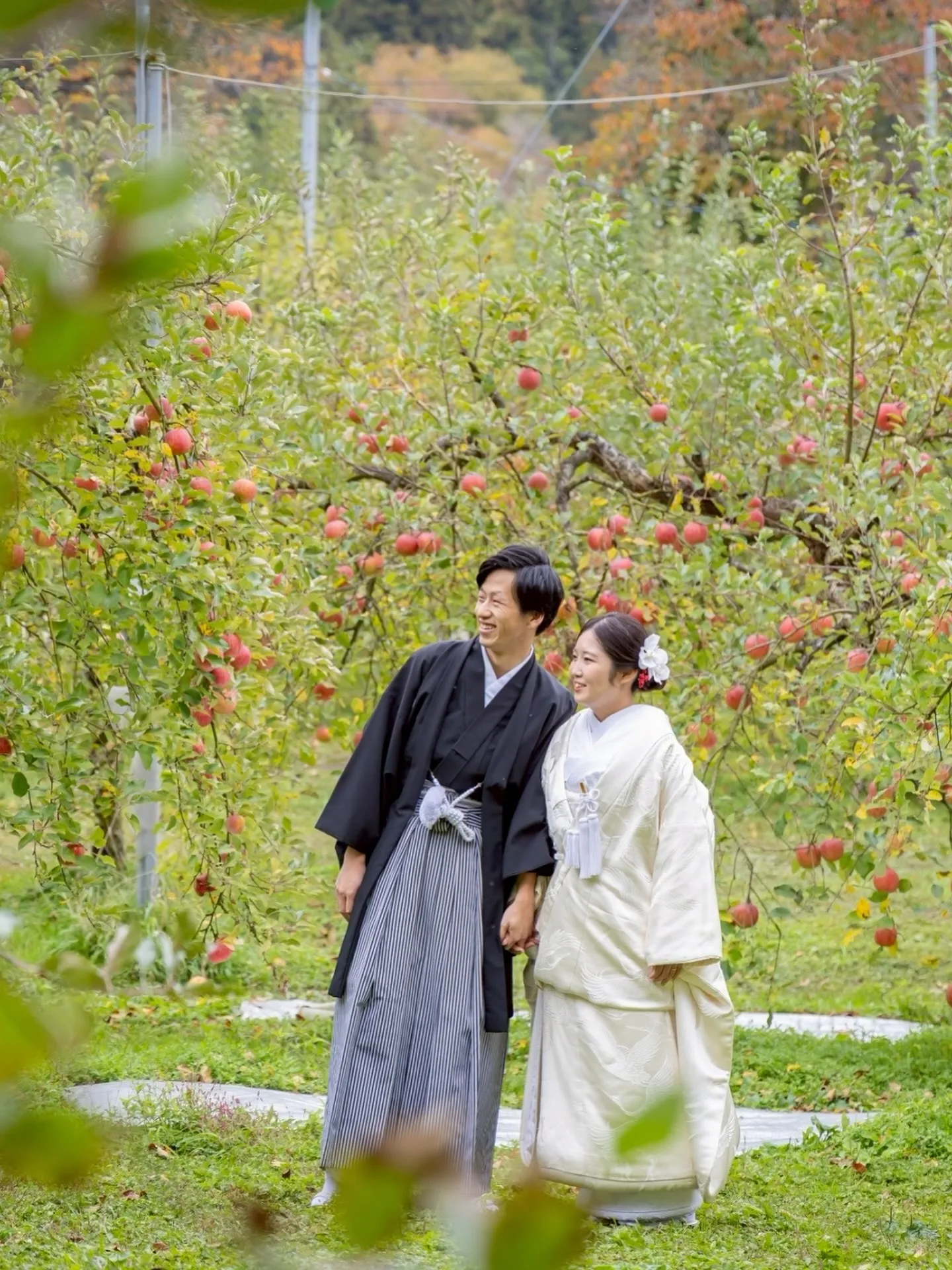 【大子町のりんご園でウェディングフォト】