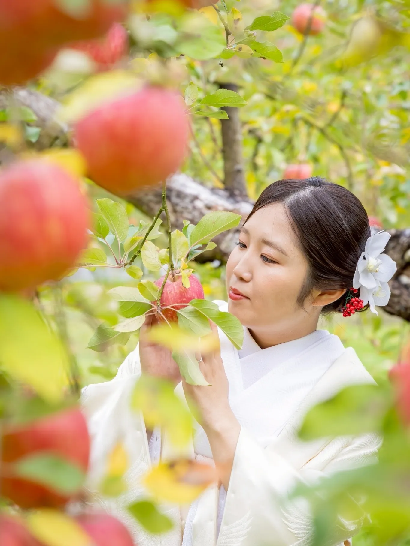 【大子町のりんご園でウェディングフォト】