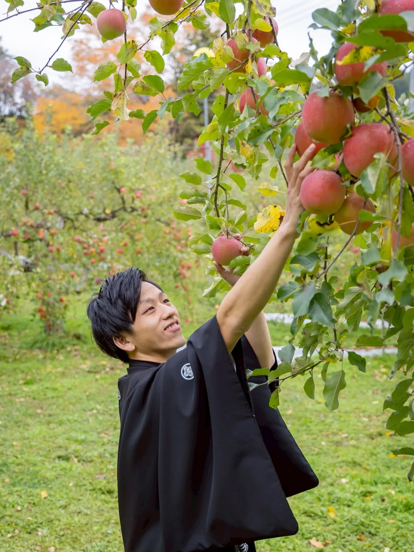 【大子町のりんご園でウェディングフォト】