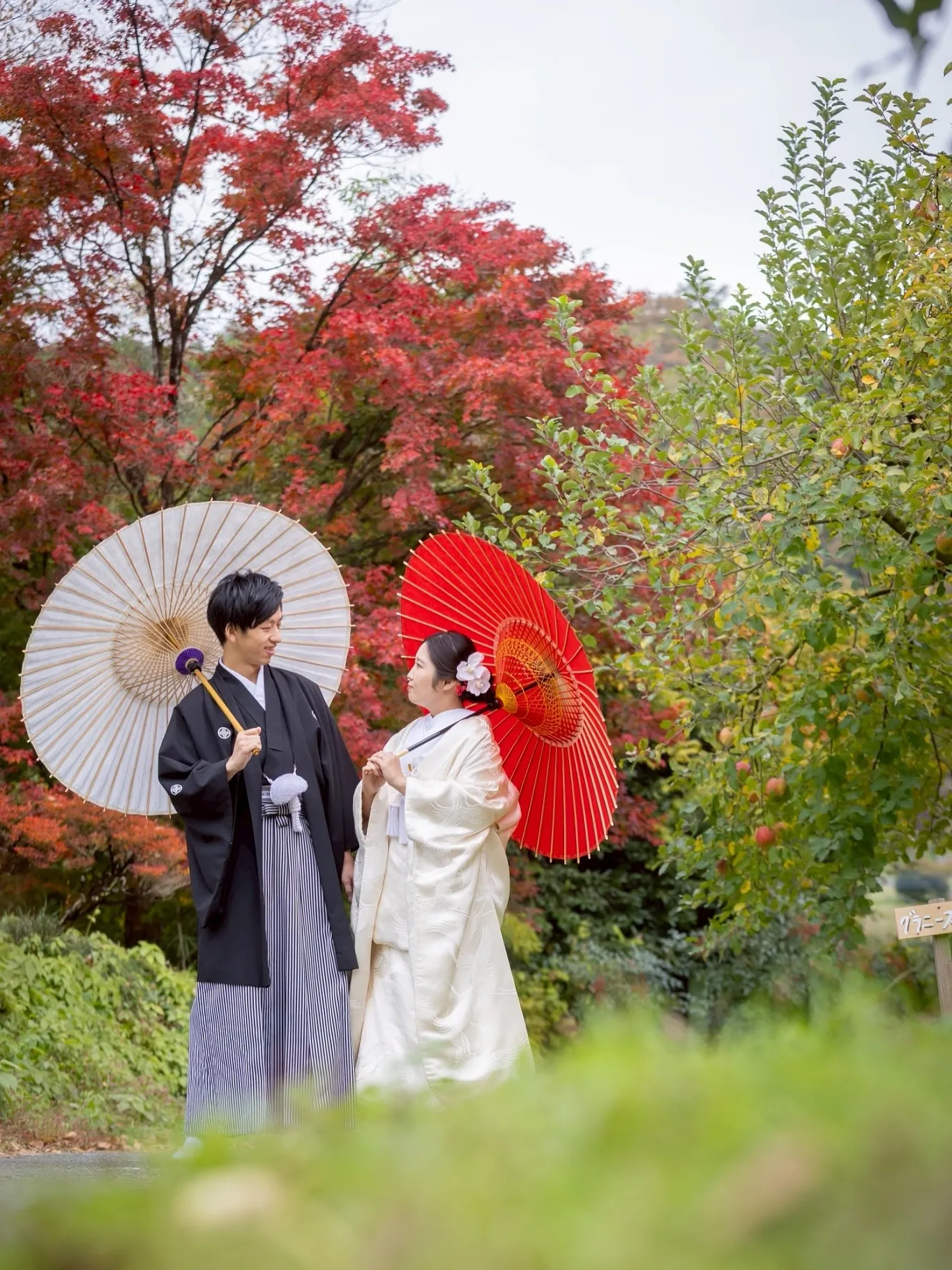 【大子町のりんご園でウェディングフォト】