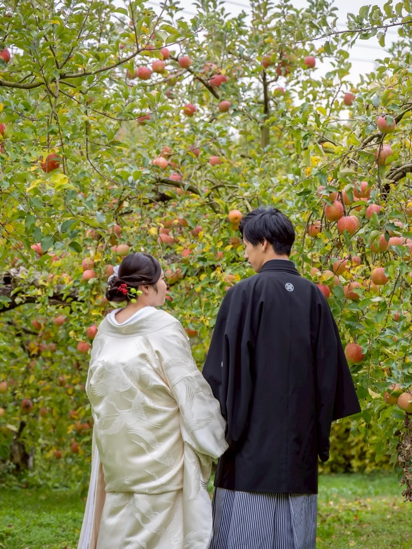 【大子町のりんご園でウェディングフォト】