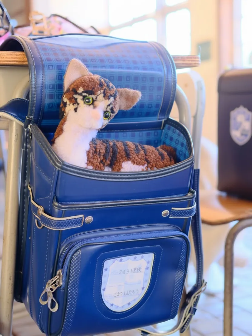 今日のお客様は「本日ノープラン!」とのことで、