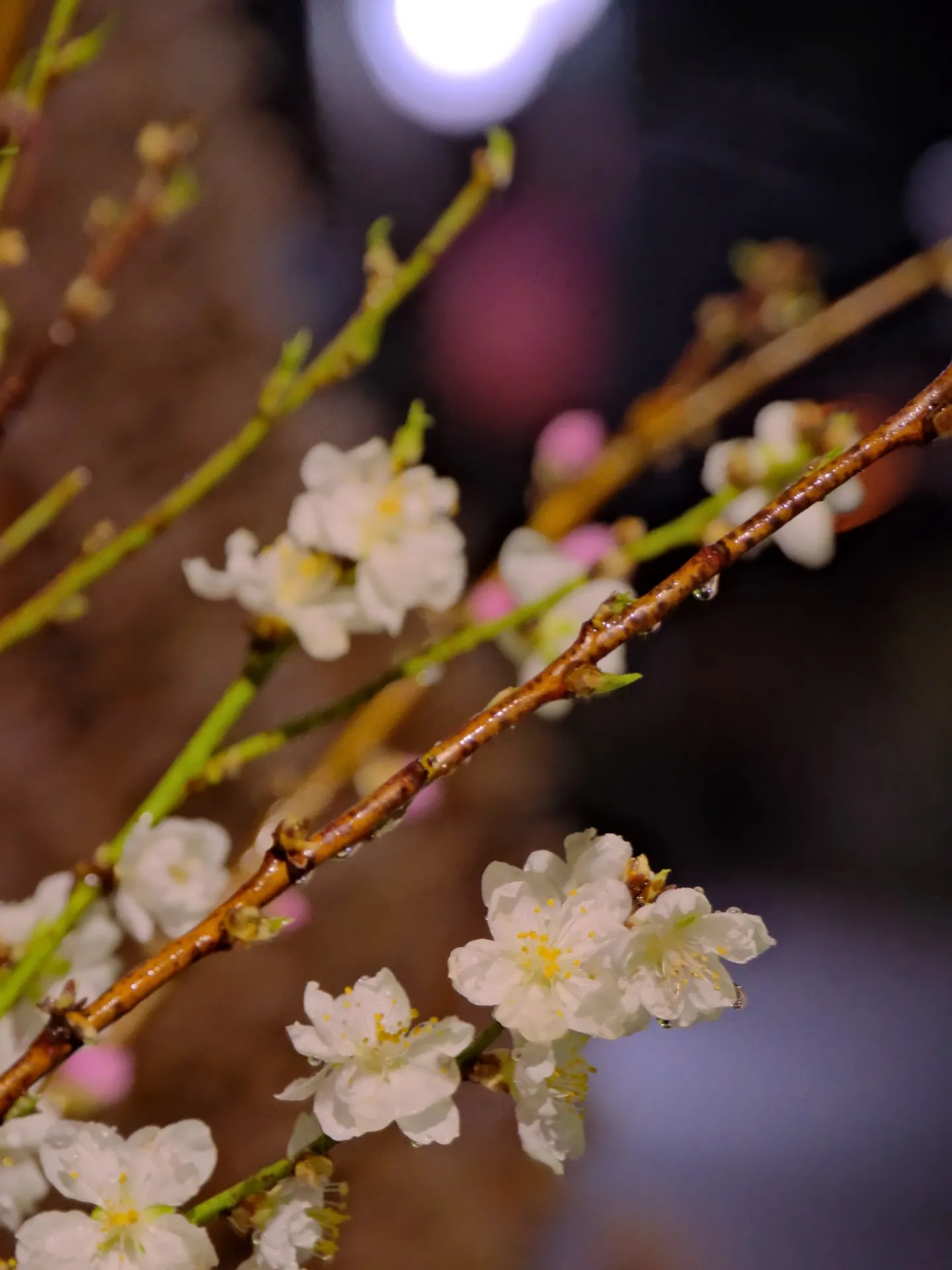 夜11時　ある雨の日の大子町