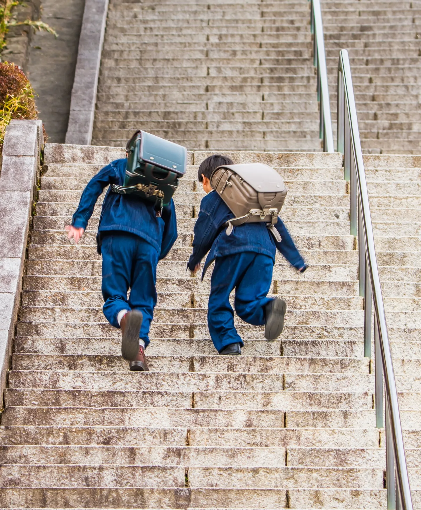 @aya_0131neko さんご家族様が