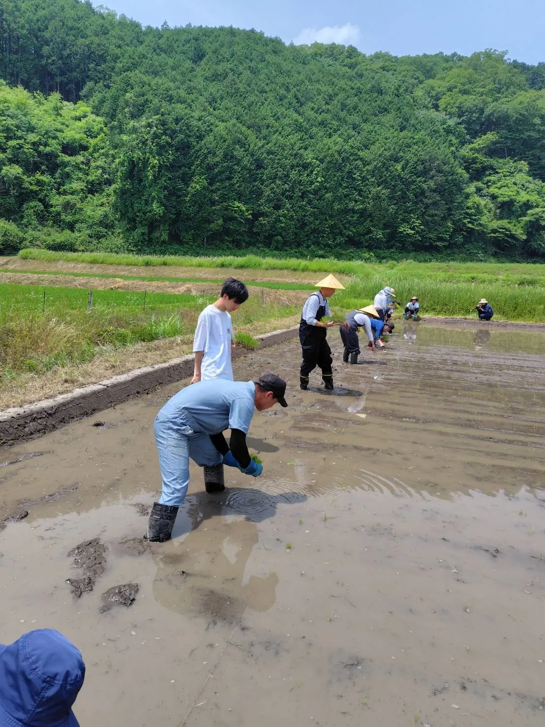 まちやどで使ってる大子町のお米農家さん