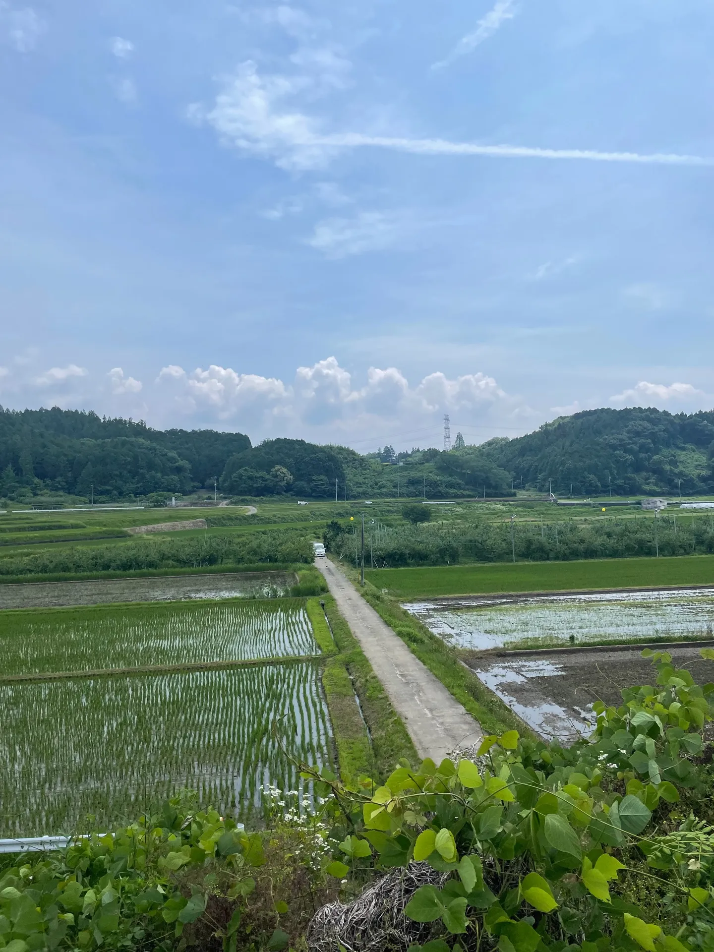 まちやどで使ってる大子町のお米農家さん