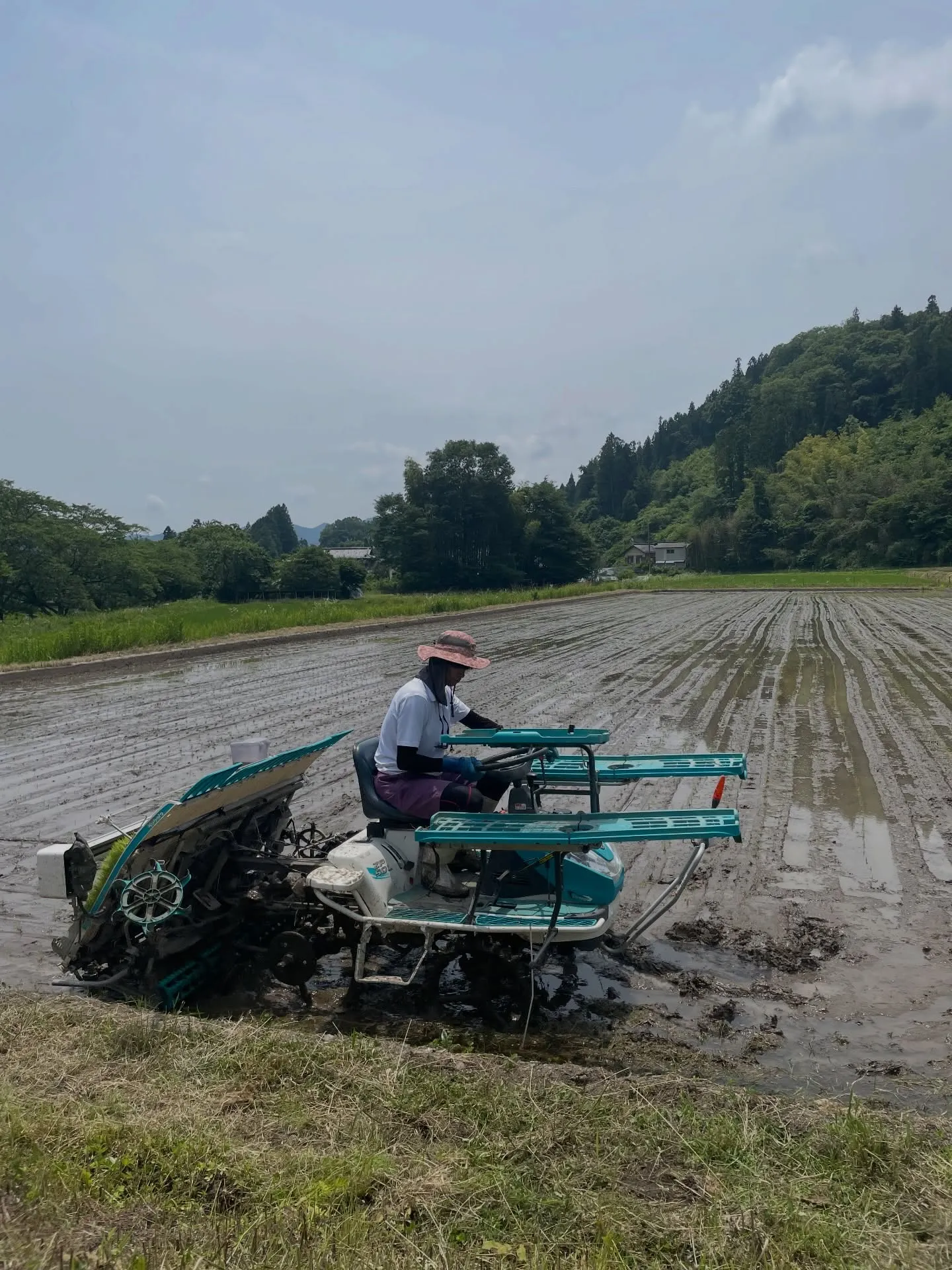 まちやどで使ってる大子町のお米農家さん