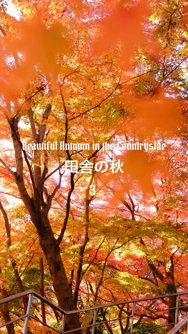 大子町で紅葉と大自然を堪能しよう。
